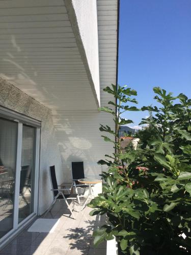 a patio with a table and chairs and a plant at Schöne Zimmer im Zentrum Leben in Offenburg