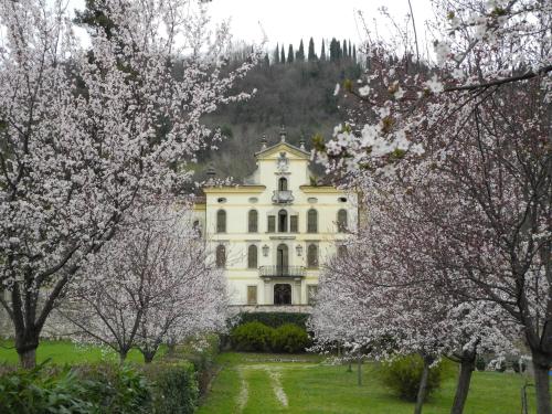 a building in the middle of a field with trees at Casa Diso 2016 in Vittorio Veneto