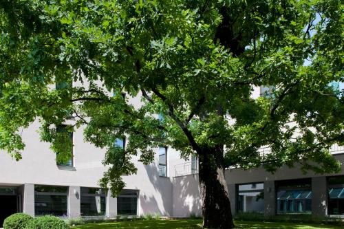 a tree in front of a building at Holiday Inn Trnava by IHG in Trnava