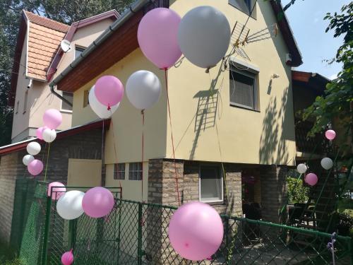 Gallery image of Tiszavirág Vendégház in Szeged