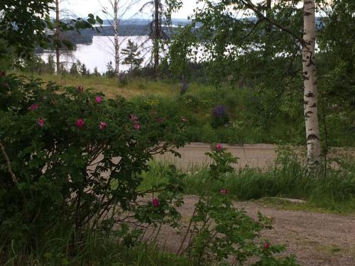 สวนหย่อมนอก Riihivuoren Lomakylä