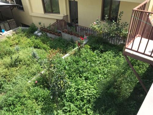 Zahrada ubytování GuestHouse M22