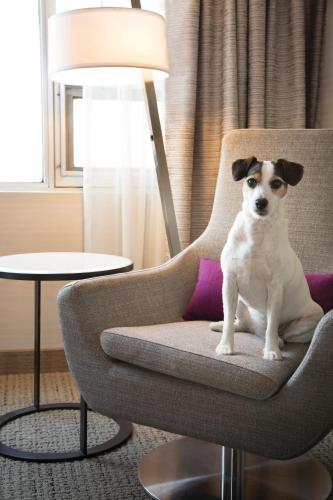 Gallery image of Coast Edmonton Plaza Hotel by APA in Edmonton