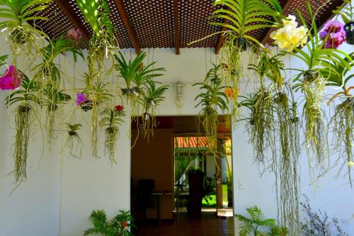 a room with lots of plants hanging from the ceiling at Pousada Lua e Mar in Ilhéus