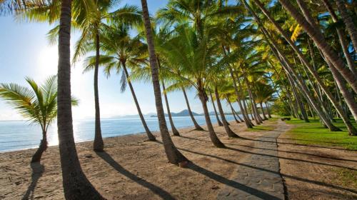 a row of palm trees on a beach at Palm Cove Paradise - Couples spa beach getaway in Palm Cove