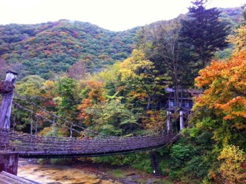 旅館の近くで見られる自然の景観