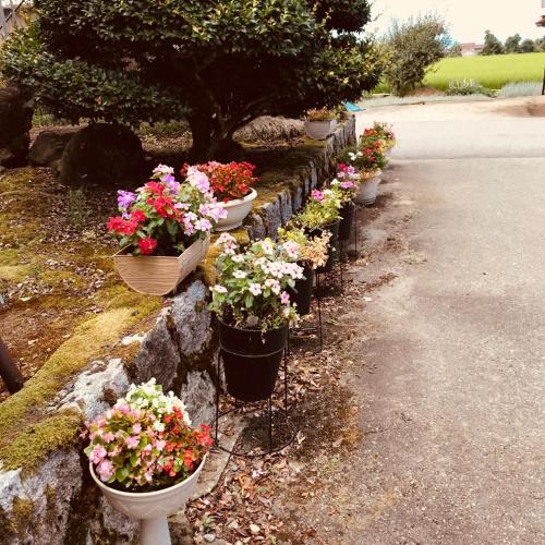 a row of flowers in pots on a stone wall at Kizuna no Ie in Uozu