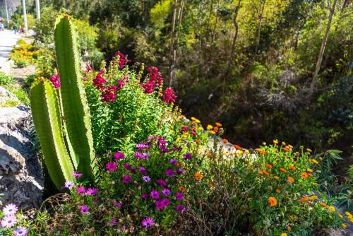 a garden with pink and purple flowers and a cactus at Peru Quechua's Lodge Ollantaytambo in Ollantaytambo