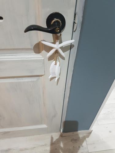a hat holder with a white flower on a wall at Cadaques Caribe Pez 103 in Bayahibe