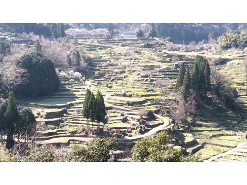 a view of a field with trees on a hill at Hitoyoshi Morinohall Ladies in - Female Only in Hitoyoshi
