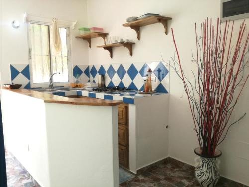 a kitchen with blue and white tile on the wall at House Jardin Del Caribe in Las Terrenas