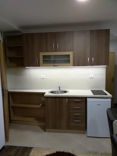 Cuina o zona de cuina de apartment jankovic