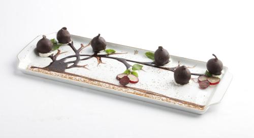 a plate of chocolate desserts on a white background at Parador de Guadalupe in Guadalupe