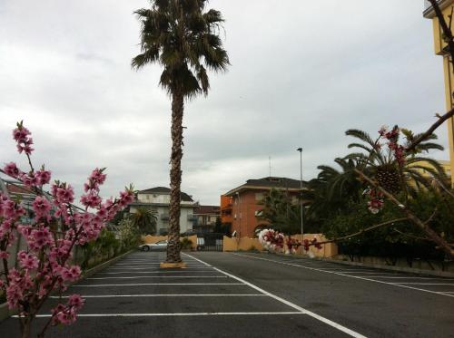 Billede fra billedgalleriet på Hotel Marconi i San Benedetto del Tronto