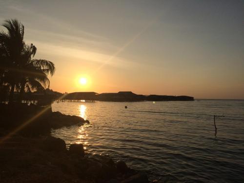 a sunset over the water with a palm tree at Hin Loi Guesthouse in Kota Kinabalu