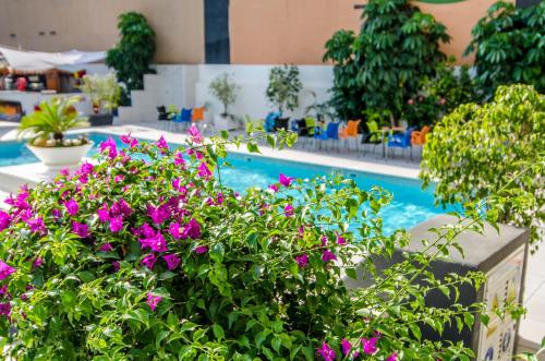 
a garden filled with lots of plants and flowers at Port Vista Oro in Benidorm
