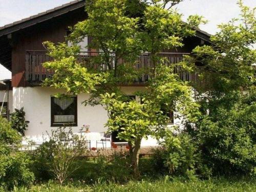 Κήπος έξω από το Ferienhaus Weitblick