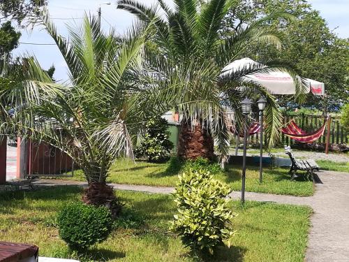 Gallery image of Nika Inn Kobuleti in K'obulet'i