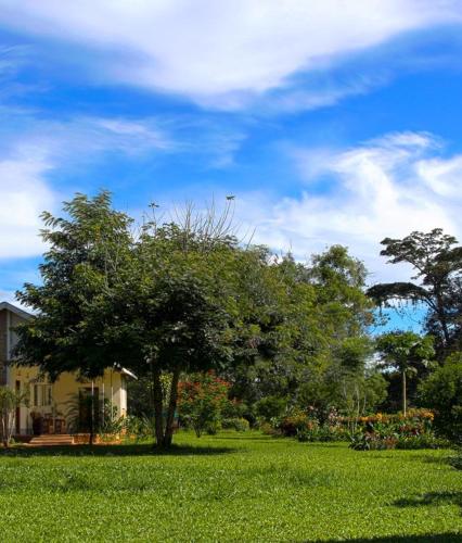 a tree in the middle of a field with a house at Bushbaby Lodge in Mukono