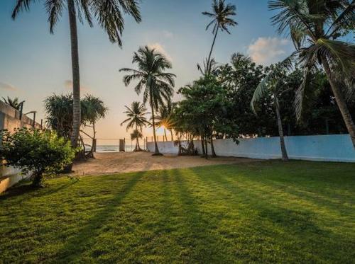 a yard with palm trees and a beach with the ocean at Serendiva Beach in Wadduwa