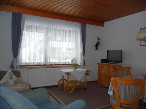 a living room with a couch and a tv at Landhaus Lederer in Bischofsgrün