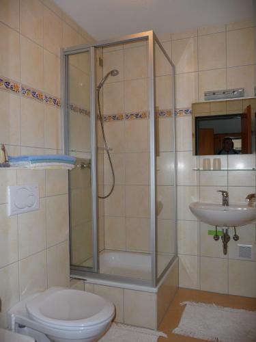 a bathroom with a shower and a toilet and a sink at Landhaus Lederer in Bischofsgrün