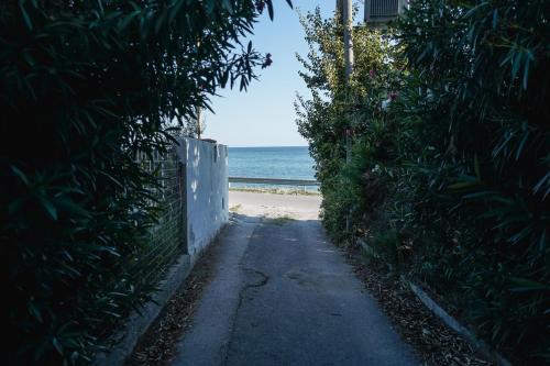 a path leading to a beach with the ocean at Nektarios Garenias Kipoupoli in Nea Kalikratia