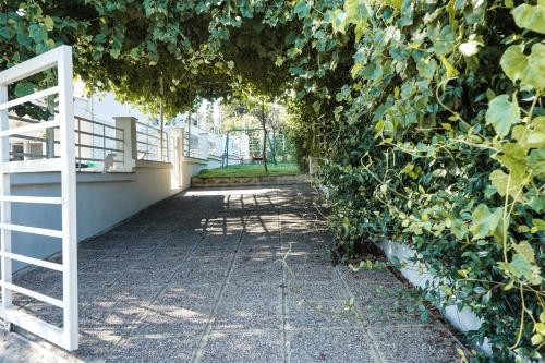 a tunnel of vines with a white fence and a ladder at Nektarios Garenias Kipoupoli in Nea Kalikratia