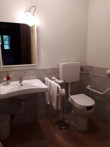 a bathroom with a sink and a toilet and a mirror at Castellare in Chiusdino