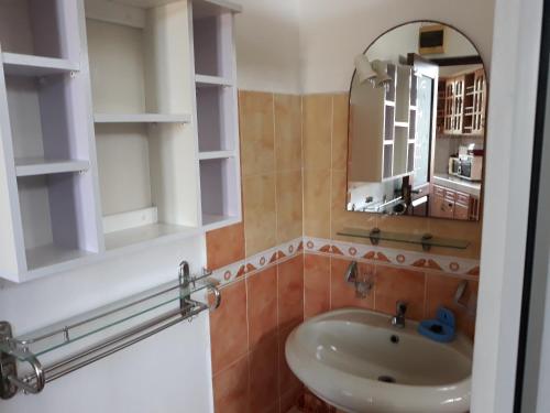 a bathroom with a sink and a mirror at Trochetia villa in Pereybere
