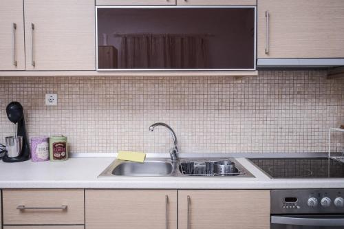 a kitchen with a sink and a counter top at Nektarios Garenias Kipoupoli in Nea Kalikratia
