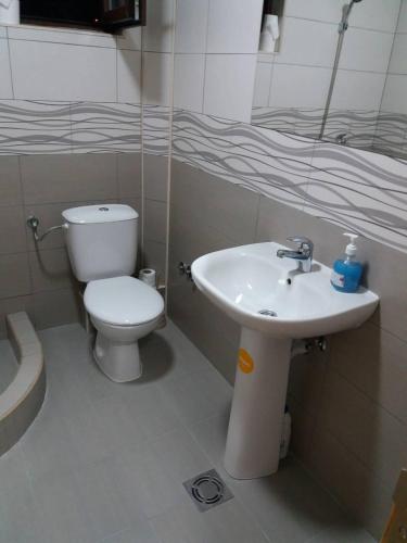 a bathroom with a white toilet and a sink at Prenoćište i restoran Ihthis in Bajina Bašta