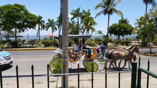 a horse drawn carriage on a street with palm trees at Hotel El Maltese in Granada
