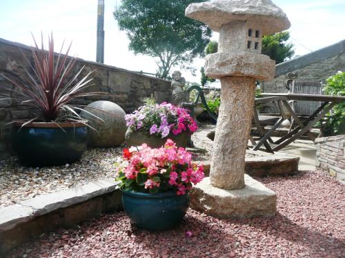 um jardim com flores em vasos e um banho de pássaros em Nutstile Farm Bed and Breakfast em Ingleton