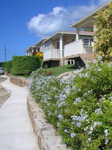 a house with purple flowers in front of a sidewalk at South Coast Horizon in Curtain Bluff