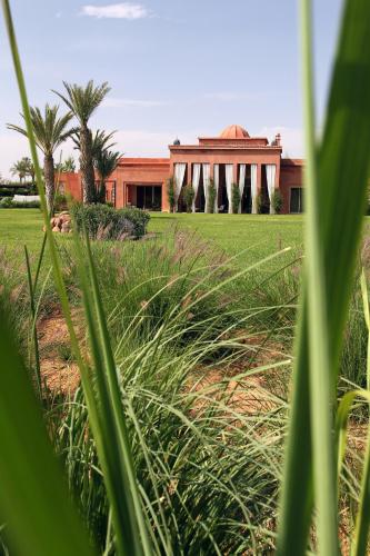 Jardín al aire libre en Dar Kamango