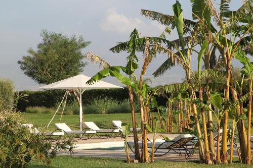 Jardín al aire libre en Dar Kamango