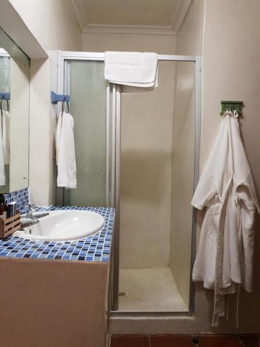 a bathroom with a shower and a sink at Saxon Lodge in Gansbaai