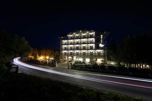 a building at night with lights on a road at Hotel Helen in Bacău