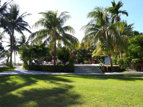 a park with palm trees and green grass at Hotel Wailiti in Maumere
