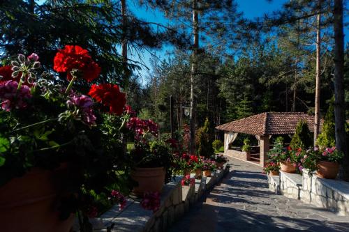 a garden with flowers in pots and a gazebo at Hotel Helen in Bacău