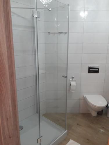 W łazience znajduje się przeszklony prysznic i toaleta. w obiekcie Apartament Centrum w mieście Mikołajki