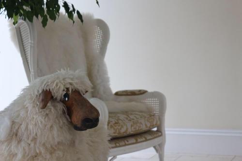 a stuffed dog is sitting in a chair at Deeside Manor in Stabannan
