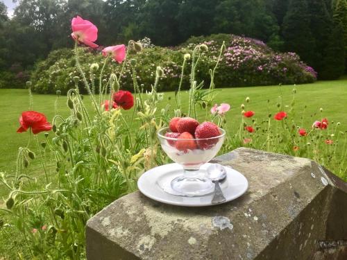 a bowl of strawberries sitting on top of a stone table at The Wrea Head Hall Country House Hotel & Restaurant in Scarborough