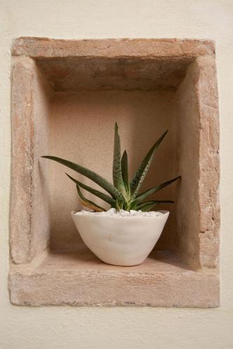 a plant in a white bowl on a wall at Residenza i Platani in Santarcangelo di Romagna