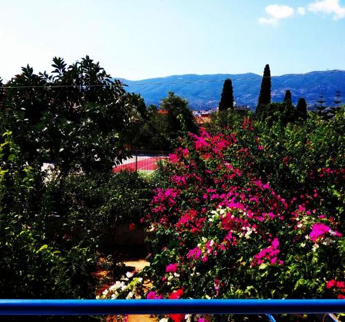 a view of a garden with pink flowers and trees at Christina Perlia Studios in Poros