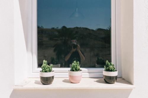 Gambar di galeri bagi Targia House di Siracusa
