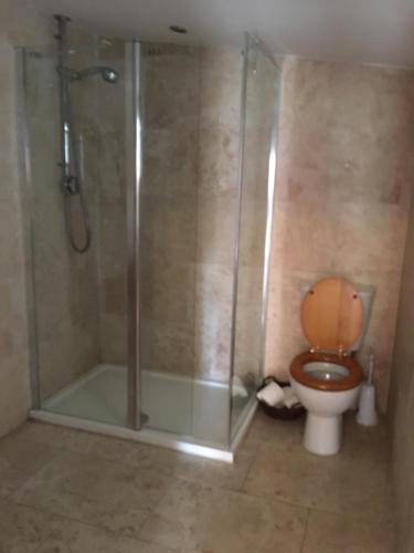 a bathroom with a toilet and a shower with a glass door at Carlton Towers Stapleton's & Parkgate's in Carlton