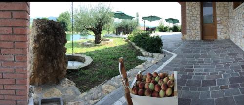 a bucket of apples sitting in a chair next to a building at La Fontanella in Montecchia di Crosara