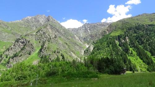 a mountain range with a green field and trees at Haus Bergheim in Sankt Leonhard im Pitztal
